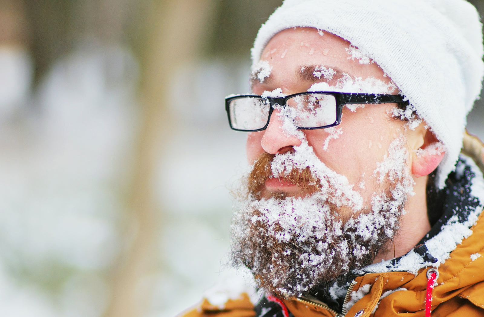 Z Clear: Use in Extreme Hot and Cold Weather