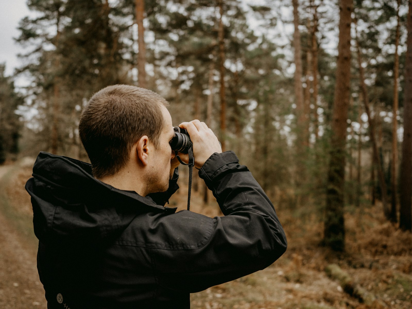 Birdwatcher looking through binoculars in the woods, keeping optics fog-free in the field